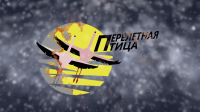 Реклама авиа кассы