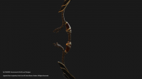 Appolo's bow
