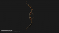 Appolo's bow