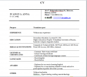 Работа 2811118