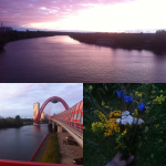 Работа 2811019