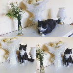 Работа 2811016