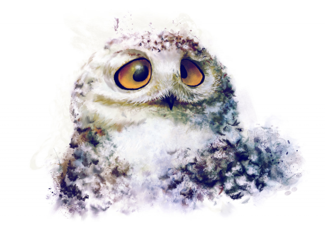 owl