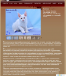 Описания котят для питомника