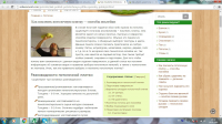 SEO-статья для портала seberemont.com