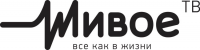 Ведение новостной ленты Живого  ТВ с сентября по декабрь 2015