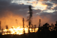 Работа 2103569