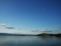 Работа 2103568