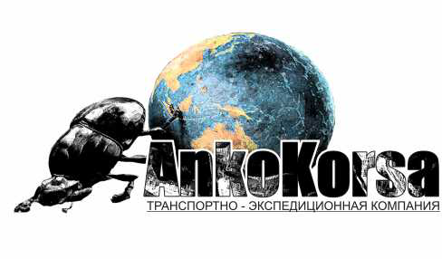 Работа 3134004