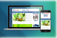 РАЗРАБОТКА ДИЗАЙНА САЙТА  WWW.ELISTA-NS7.RU