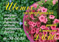 цветочный магазин