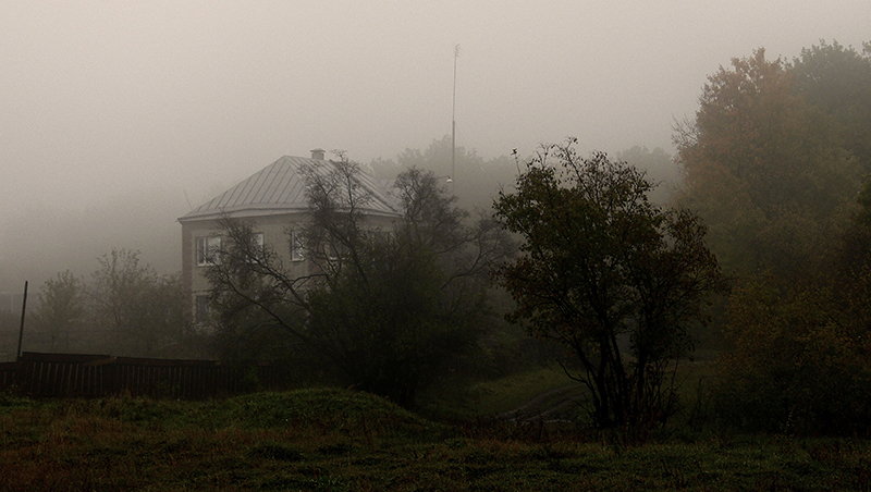 pic88432.jpg