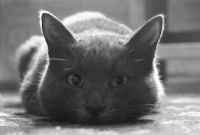 ^_^