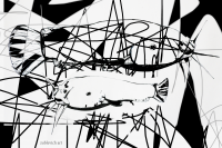 иллюстрация "Сомик "для журнала FISH