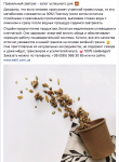 Текст для социальных сетей (здоровое питание)