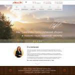 Клининговая компания