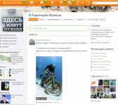 Администрирование и продвижение официальной группы Timotei в ОК