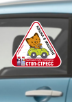 Кошка в машине
