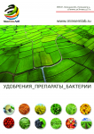 Работа 3117027