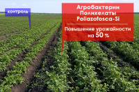 Работа 3117040
