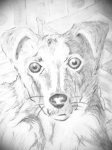 Работа 3121326