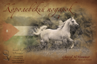 Анонс 1.0