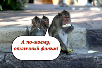 Фильмы о путешествиях