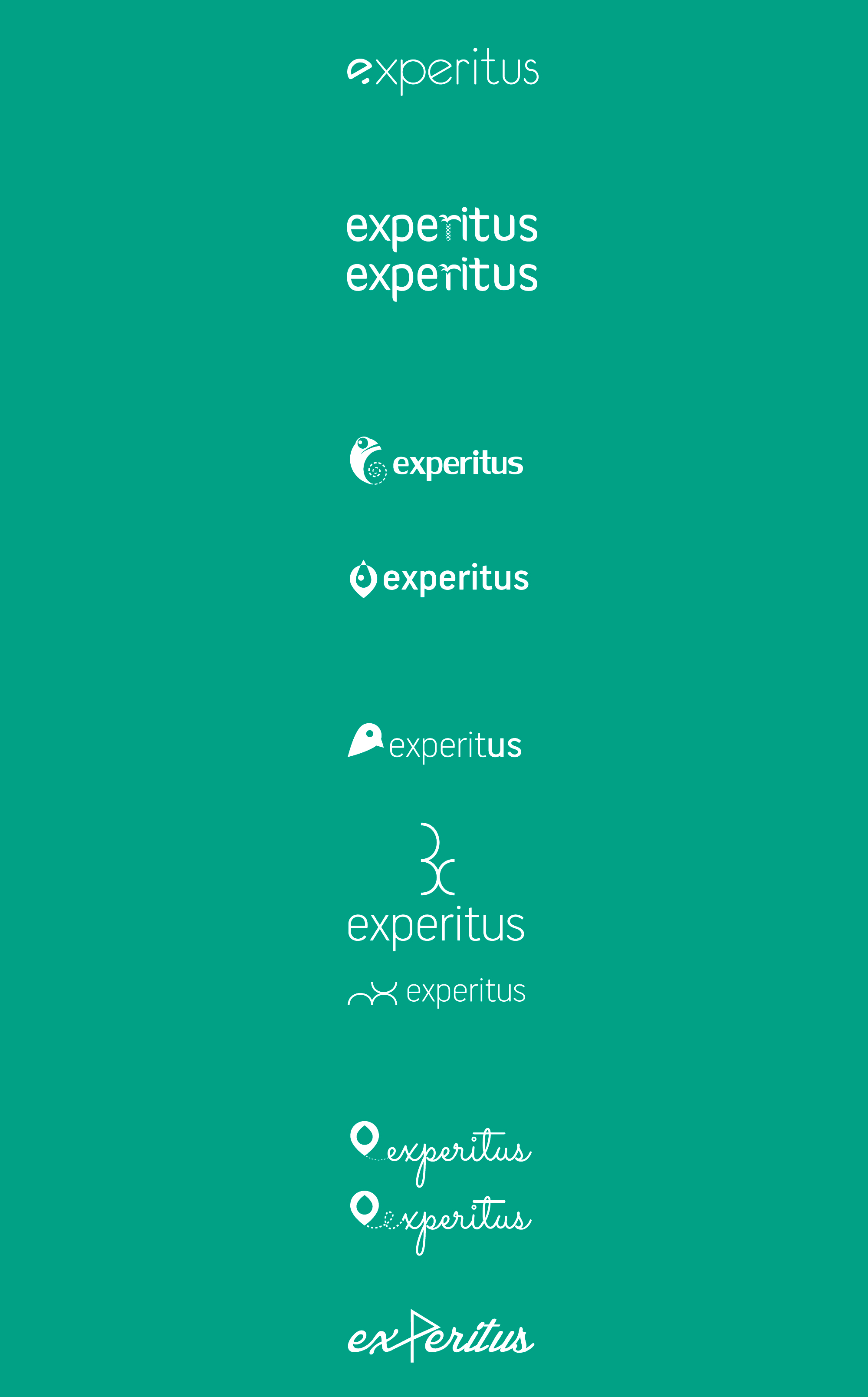 logo-experitus.jpg