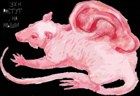 лабораторная мышь