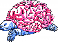 мозгочерепаха