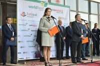 Работа 2143412