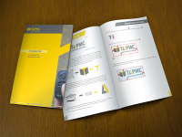 Брендбук "ТАРИС"