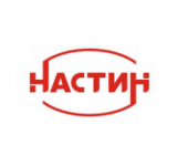 логотип Настин