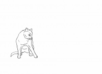 кошка  идет (черновик)