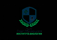 Работа 3078937