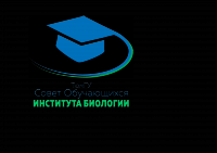 Работа 3078935