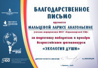 Работа 3116212