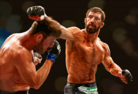 Luke Rockhold (ufc)