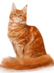 кошка
