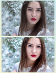 Работа 2946425