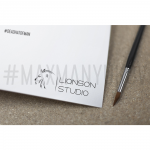 Lionson Studio