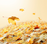 Работа 2706399