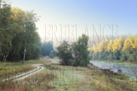 Работа 2413799