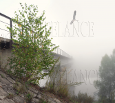 Работа 2413798