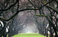 Работа 2413209