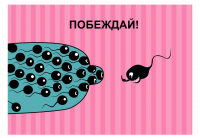 Работа 774654