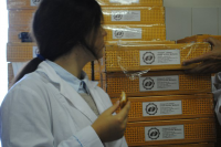 Упаковка для кондитерской фабрики СЛАДКИЙ ДОЖДЬ