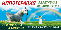 Дизайн плаката 6Х3 метров ИППОТЕРАПИЯ