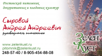 Дизайн визитки