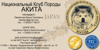 Визитка